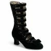 Bordello WHIMSEY-115 - Blk Velvet